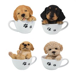Hunder i kopp