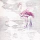 6007A-VD2_Pink_Flamingo_WEB.jpg