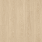 26092203_2.png
