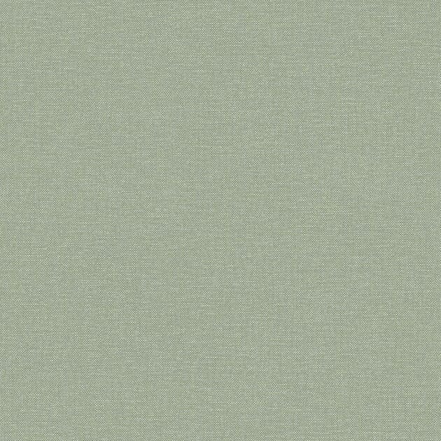 876716.jpg