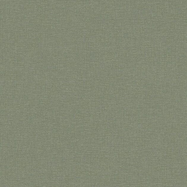 876719.jpg