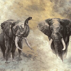 Storeys - Travertino 33100