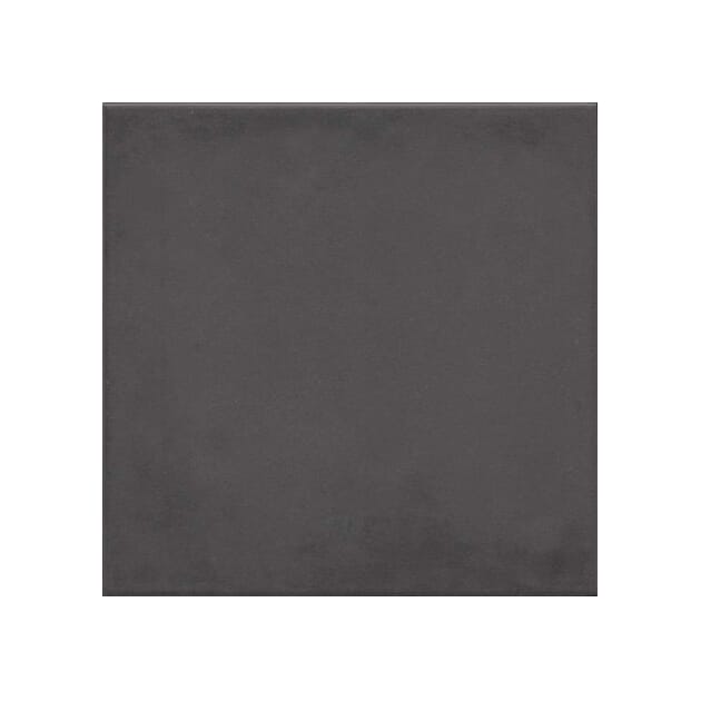 fvi6.jpg